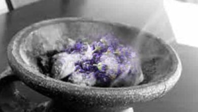 علاج السحر المأكول والمشروب